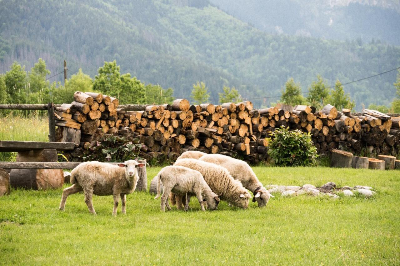 Maciejowy Dwor Lejlighed Zakopane Eksteriør billede